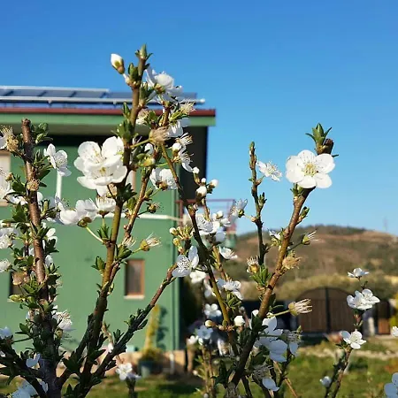 Vandrarhem Chillsteps