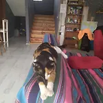 Vandrerhjem Chillsteps *