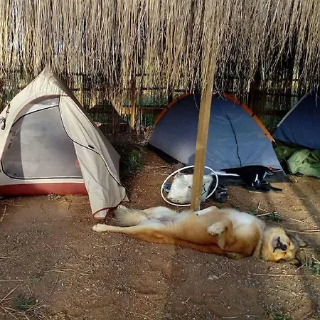 Hostel Chillsteps Fethiye