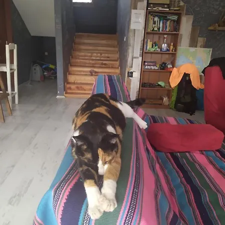 Хостел Chillsteps *