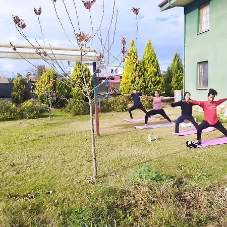 Хостел Chillsteps *