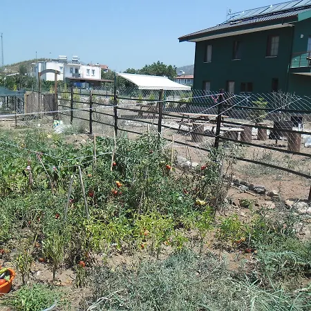 Chillsteps * Фетхие