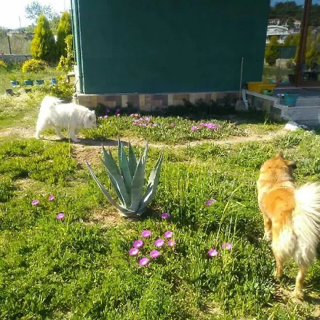 Chillsteps Фетхие