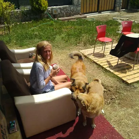 Chillsteps * Фетхие